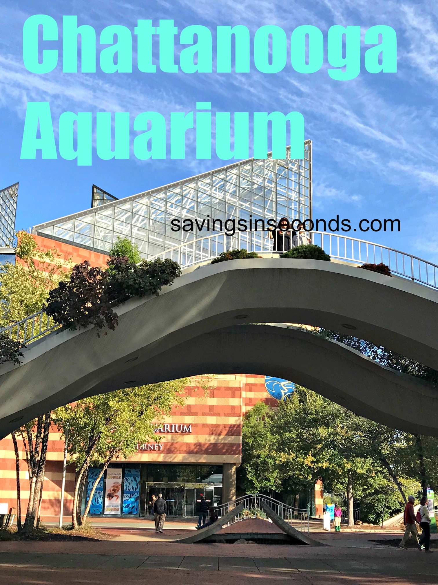 Tennessee Aquarium in Chattanooga + Oceans book